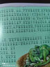【全套40册】中华成语故事注音版 有声伴读幼儿园阅读宝宝启蒙早教读物0-1-3-6周岁带拼音经典寓言睡前亲子故事大全幼小衔接儿童绘本 一年级小学生课外阅读书籍 入门装【宝宝睡前成语故事】随机4本 实拍图