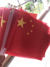 阿宝丽小国旗手挥手摇旗小号五星红旗运动会户外活动手拿中国旗100个 实拍图