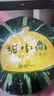 甜小南【热销100W+】山西正宗贝贝南瓜板栗味小南瓜贝贝婴儿辅食香甜 京选款 4-5个果（单果180g起） 2斤 彩箱礼盒装 实拍图