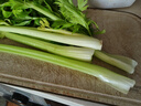 【24小时菜】大芹菜约400g 实拍图