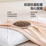 京东京造小金荞金标款 100%荞麦壳填充高度可调花草枕头采销推荐 单只装 实拍图