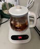 LOTOR养生壶迷你煮茶器烧水花茶恒温一体电热水壶办公室全玻璃炖煮茶炉煎中药小型养生杯一人 【数显预约定时】滤桶款全玻璃壶 1L 实拍图