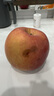 蔬农联水果 当季时令苹果礼盒 生鲜水果 山东烟台栖霞红富士苹果 5斤装 单果190g+【净重4.5斤】 实拍图