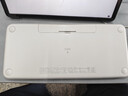 罗技（Logitech）时尚系列 K380 键盘 蓝牙办公键盘 无线键盘 女友 便携超薄键盘 笔记本键盘 烟云灰 实拍图