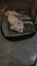 HKML狗狗厕所小型犬专用宠物用品狗便盆尿盆鹦鹉站架喂食排便桌面训练 绅士灰小号：40x30x11cm 实拍图