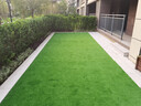 康迈斯人造草坪仿真草坪假草皮户外假草坪室外铺垫人工草坪地垫阳台 实拍图