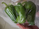 【微甜】青椒约400g 实拍图