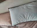 水星家纺枕头枕芯酒店枕头护颈枕头芯家用单个纯棉抗菌可水洗高枕48x74cm 实拍图