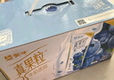 蒙牛真果粒蓝莓味牛奶饮品250g*12盒  小黄鸭IP 中秋送礼盒装新老包装 实拍图