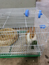 贝尼宠 兔子笼 兔子窝 兔笼子 不含兔子 宠物兔子小兔子 兔子笼50#含水壶脚垫窝垫1-3只 实拍图