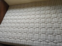老编工 天然山棕床垫棕垫手工线缝硬棕榈床垫子薄款榻榻米垫定制 (6cm总厚度)手工纯线缝棕芯+纯棉面料 120cm*200cm 实拍图