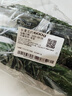长黄瓜约600g 实拍图