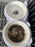 萌嘟星宠猫碗陶瓷狗食盆双碗倾斜护颈防黑下巴猫粮碗喂食饮水器防打翻 实拍图