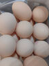 1号会员店One's Member Omega-3可生食标准鲜鸡蛋 30枚 单枚50g 源头直发 实拍图