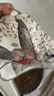 beedoll蓓兜儿童罩衣围兜防水防脏婴儿护衣饭兜宝宝画画围裙 小熊+小兔 实拍图