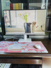 飞利浦27英寸 IPS原生120Hz 4ms 低蓝光不闪屏 HDMI+VGA 节能认证办公游戏显示器271V8W升级款27E2N2100W 实拍图