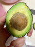 鲜青录秘鲁进口牛油果鳄梨奶油酷热带新鲜宝宝孕妇水果 600g尝鲜【6个中果 单果100-140g 实拍图