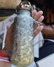 Oball口袋纯钛杯保温杯送女朋友老婆生日礼物女士户外水杯母亲节礼物 实拍图