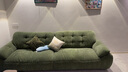 帕沙曼国货补贴云朵沙发布艺小户型客厅奶油风雪尼尔沙发多功能2630ZF 【全拆洗款】3.1米大双人位#2900ZF 雪尼尔TY74: 羽绒+记忆棉+紫罗兰+竹炭海绵 实拍图