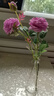 凉笙 ins小清新绢花假花仿真花 客厅玻璃花瓶装饰品摆件餐桌花艺套装花 1支紫色牡丹+小雨点花瓶 实拍图