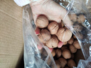 楼兰蜜语京觅专供新疆新二薄皮核桃2.5kg原味纸皮节日礼盒坚果特产零食 实拍图