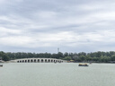 君庄随身便携式烧水壶泡茶壶出差旅游电热水壶酒店家用旅行茶具小套装 电热水壶+旅行茶具-黑 一壶3杯 实拍图
