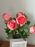 京东鲜花高档玫瑰花8支逼真仿真花假花摆设客厅餐桌装饰摆件拍照摄影道具 实拍图