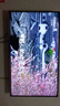 鲸威 【wifi直连送VIP】海思芯网络电视盒子机顶盒无线wifi高清直播投屏高清全网通 顶配版【5G双频蓝牙语音-1+8G全网通VIP卡】 实拍图
