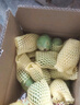 京鲜生海南小台芒 巨无霸果净重4.5斤装 单果100g起 生鲜水果源头直发 实拍图