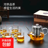 葫仙玻璃泡茶壶耐热耐高温加厚玻璃壶办公家用电陶炉煮茶壶水壶 400ml单壶+4只把手杯 实拍图