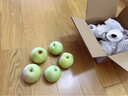 京觅山西青苹果 净重3斤 精选单果130g+ 生鲜水果整箱包邮 源头直发 实拍图