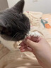 一只喜欢猫咪冻干营养小仙棒宠物零食犬猫通用 羊奶口味45g*1包 实拍图