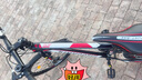 金武端自行车成人山地车公路赛车单车骑行变速超轻越野中学生初中青少年 顶配版-辐条轮-黑红色 24寸21速 实拍图