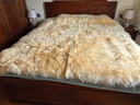 加大羊皮床垫皮毛一体双人褥子冬季加厚防潮保暖床毯家用长毛床毯 米黄色 澳洲羔羊皮毛 1.8x2米 实拍图