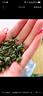 福东海 正宗特优绞股蓝茶【金罐装】 搭中药材七叶胶股蓝嫩叶血胶古兰茶 实拍图