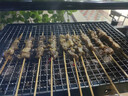 鲜京采内蒙古孜然羊肉串净重2斤 （50串）露营户外烧烤 京东自有品牌 实拍图