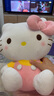 Hello Kitty三丽鸥KT猫毛绒玩偶玩具抱枕女孩娃娃元旦新年礼物女孩生日礼物 实拍图