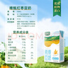 豆本豆芝麻黑豆奶20盒营养送礼醇香早餐奶植物蛋白饮料饮品中秋送礼 燕麦豆奶250ml*20盒 实拍图