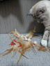 瓜洲牧猫玩具弹力球羽毛逗猫棒自嗨解闷神器网红款猫咪追赶互动宠物用品 羽毛弹力球【运动款】十二个装 实拍图
