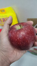 京鲜生 甘肃天水花牛苹果 又大又红 净重10斤 单果200g以上 新鲜水果  实拍图