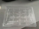 一次性饺子盒透明分格馄饨托盘水饺外卖打包盒餐盒冷冻饺子盒商用 20格透明饺子盒+加厚盖【100套】 实拍图