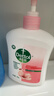 滴露（Dettol）洗手液茉莉绿茶清香500g*2 儿童洗手液家庭抑菌消毒 迪士尼 实拍图