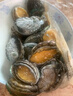 金唐鲜冻大鲍鱼净重500g/ 10头鲍 带壳鲍鱼肉 贝类海鲜生鲜火锅烧食材 实拍图