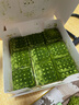 中粮香雪抹茶提拉米苏蛋糕动物奶油聚会休闲下午茶生日蛋糕 990g 实拍图