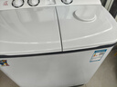 小鸭洗+脱15公斤 洗衣机半自动家用 双电机大容量双桶双缸波轮洗衣机脱水甩干双筒 半自动洗衣机 洗涤9公斤 脱水6公斤【臭氧灭菌|强力去污】 实拍图