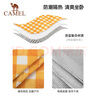 骆驼（CAMEL）户外防潮垫便携加厚野餐布野炊坐垫折叠防水帐篷垫野餐1J32265019 实拍图