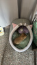 憨憨乐园猫碗陶瓷猫粮双碗斜口狗碗狗盆狗粮宠物幼猫咪吃饭食盆喝水喂食 实拍图