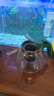 茶壶泡茶器整套茶具茶水分离玻璃耐热泡茶壶花茶套装茶漏 绿把单壶1只 实拍图