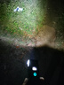 神鱼（SHENYU）LED自行车夜骑灯山地车公路车前灯防雨刹车尾灯骑行装备配件 顶配 感应前灯+数显+尾灯 实拍图