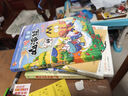 不白吃爱上读史记：帝王霸主（畅销百万册、超7000万粉丝漫画IP我是不白吃重磅新作！随书送史记人物大海报） 实拍图